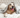 Evcil Hayvan Takip Cihazı Canlı GPS Gibi Çalışır mı? Akıllı Tasma ile GPS Tasma Arasındaki Fark